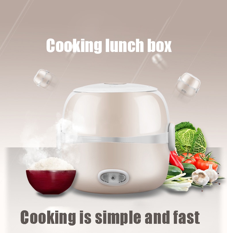 DMWD MINI rice cooker insulation heating electric lunch box 2 layers Portable Steamer multifunction automatic Food Container EU