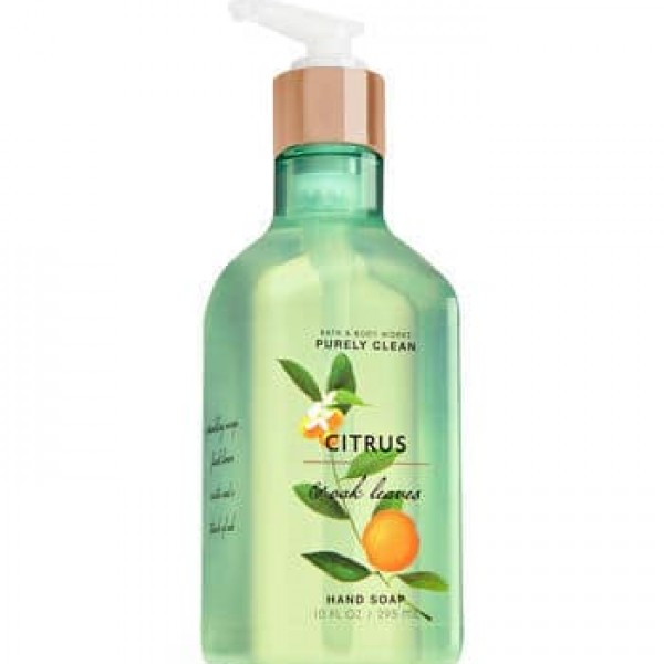 Bath & Body Works Citrus & Oak Leaves Purely Clean Hand Soap 10 fl oz/ 295 ml
