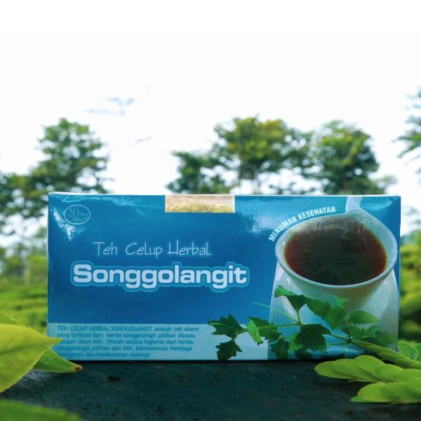 2 Boxes or 40 Teabags of Songgolangit Herbal halal Tea for Gout Medicine