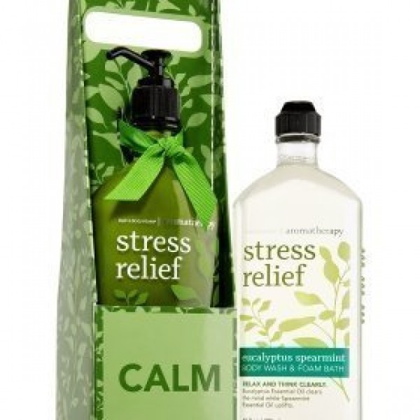Bath and Body Works Aromatherapy Village Carrier Stress Relief