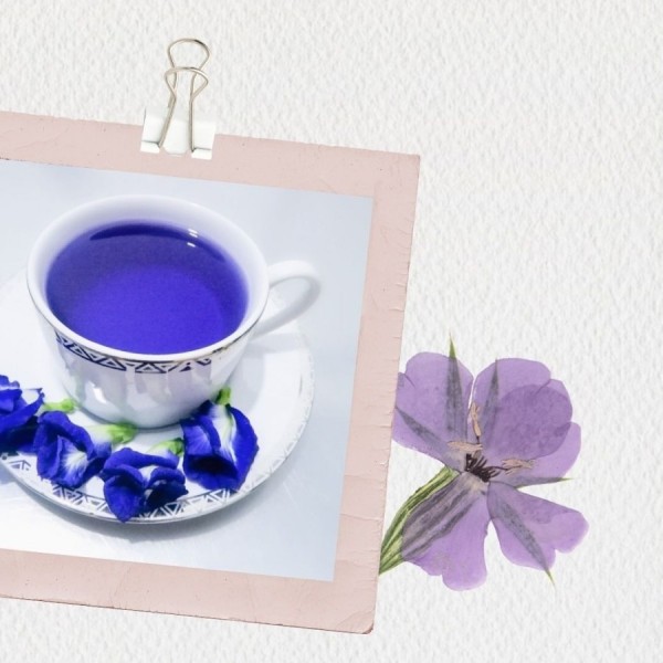 (2 items)  Dried Telang Flower Tea (premium)
