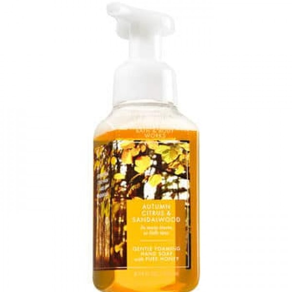 Bath & Body Works Autumn Citrus & Sandalwood Gentle Foaming Hand Soap (Lot Of 2)