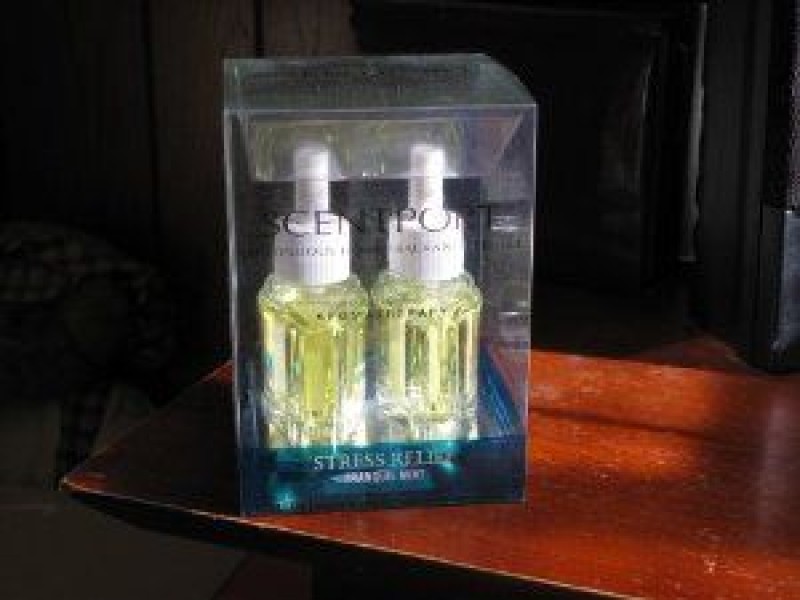 Bath & Body Works Aromatherapy Tranquil Mint Scentport Fragrance Refills 2 Bulb