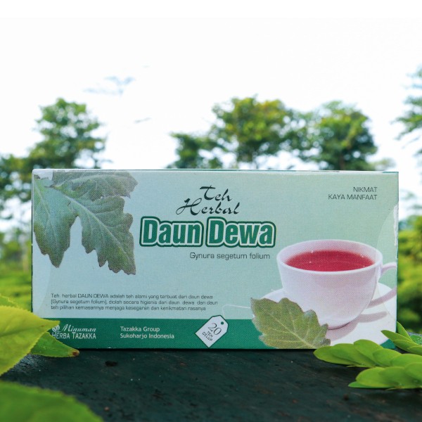 2 Boxes or 40 TeaBags Gynura divaricata Pure Herbal Halal Tea