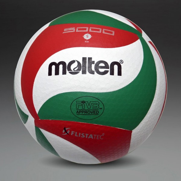 Retail 2015 New Brand Molten Soft Touch Volleyball ball, VSM5000, Size5 match quality Volleyball Free With Net Bag+ Needle