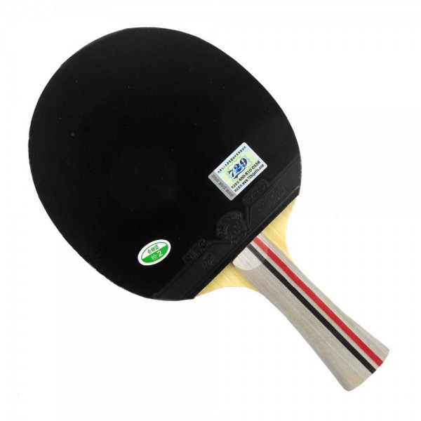 Pro Table Tennis PingPong Combo Racket Galaxy YINHE N9s with 2Pieces 729 XL 2015 Factory At a loss Direct Selling Shakehand FL
