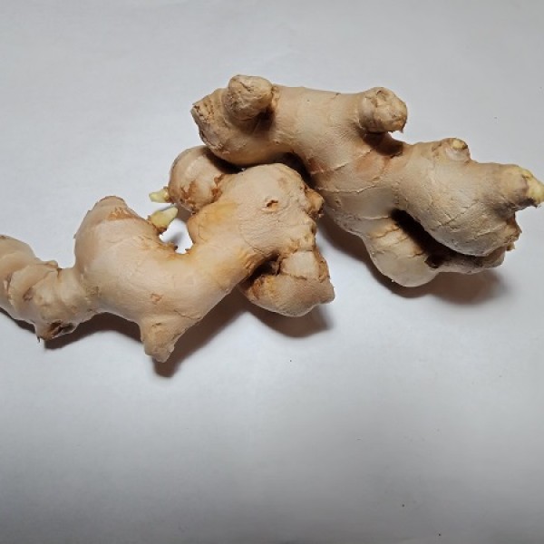 GingerOrganic Whole Ginger Root  Natural Gingerol Non-GMO