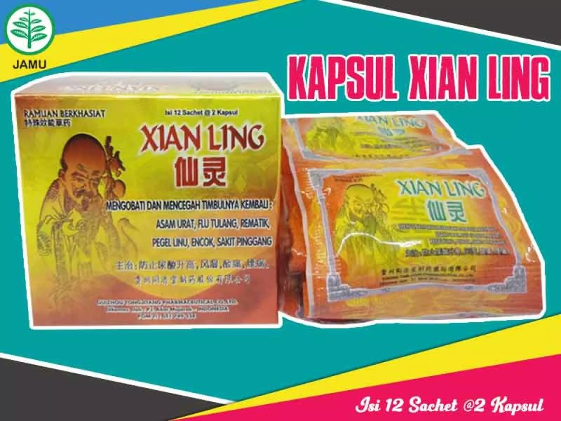 10 box xianling capsulle for gout rheumatism etc herbal