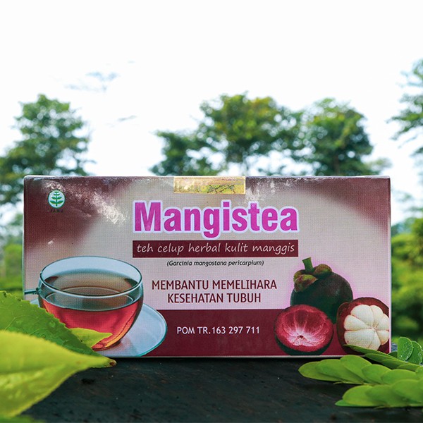 2 Boxes or 40 TeaBags Mangosteen Garcinia Mangostana Pure Herbal Halal Tea