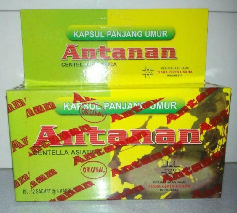 5 boxs Antanan Longevity capsule-Gout, rheumatism, reduce cholesterol,uric acid